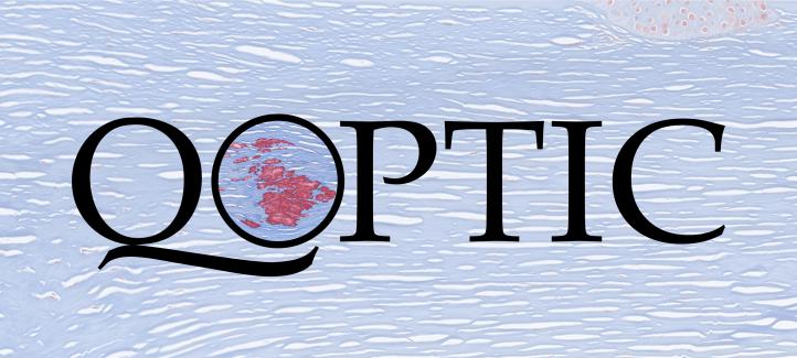 Q Optic Logo
